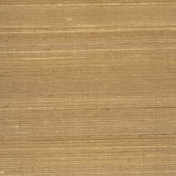 PT003 Nutmeg Cayman