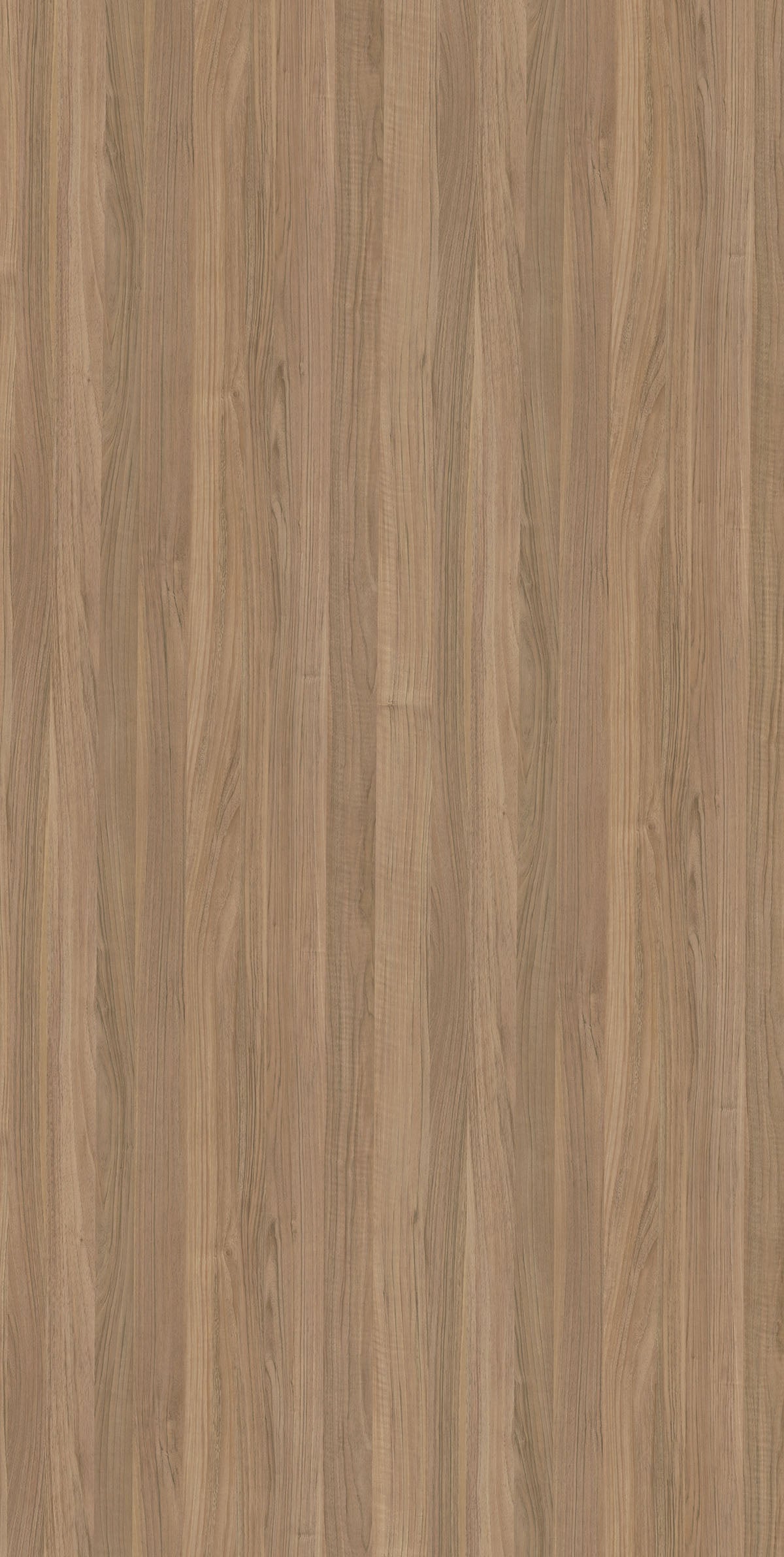 VN610 Nizza di Legno