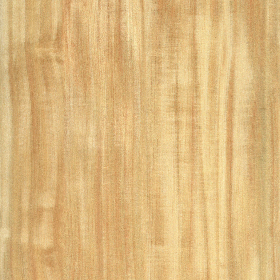 WN801 Silky Chestnut