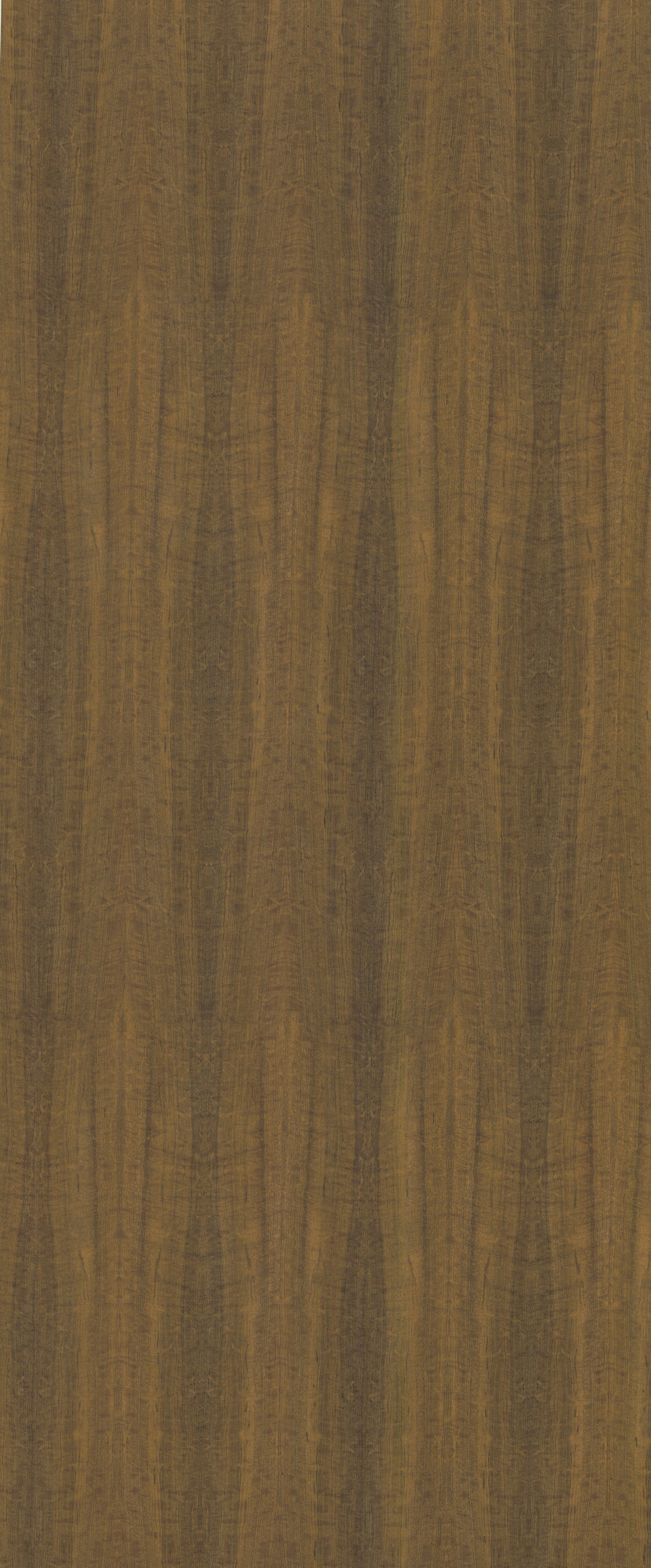 WW060 Autumn Wood